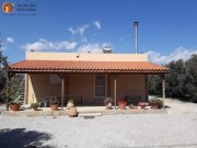 Mires - Pombia Süd Kreta, ruhiges EFH im Olivenhain Wfl.70qm Grdst. ca.5500qm Haus kaufen